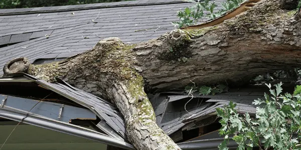 Storm damage restoration services