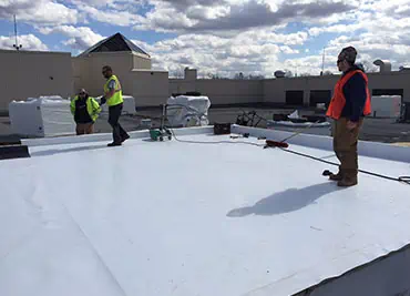 Single-Ply Membrane (TPO)